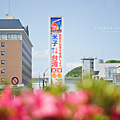 台灣虎航鳥取.png