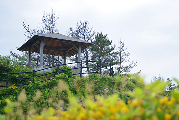 田後公園展望台.png