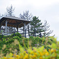 田後公園展望台.png