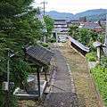 隼神社 介紹.png