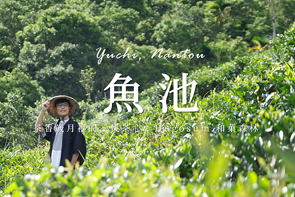 和菓森林.png