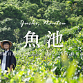 和菓森林.png
