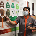 南投 製茶體驗.png
