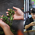 魚池 半日茶師小旅行.png