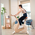 PHILIPS 飛輪車.png