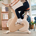 PHILIPS 質感飛輪車推薦.png