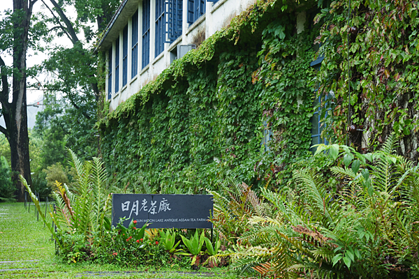 日月潭景點 日月老茶廠.png
