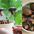 阿伯茶葉蛋 流淚香菇.png