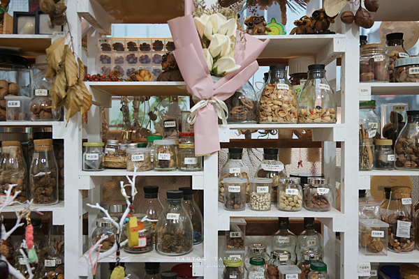 竹山 種子菻展覽工作室.png