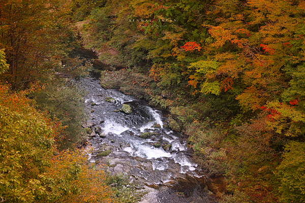 Tourwave 秋保一日遊.png