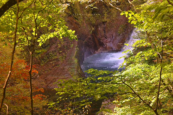 秋保大瀑布 楓紅.png