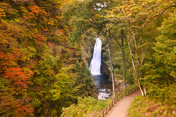 秋保景點 秋保大瀑布.png