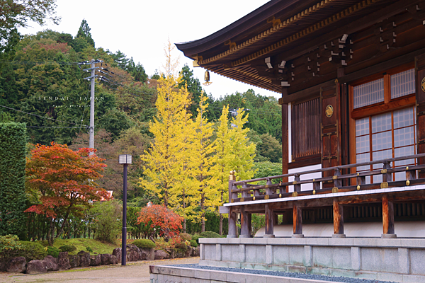 仙台景點 定義如來西方寺.png