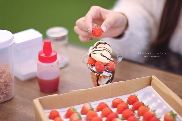 仙台 ケロケロの杜草莓園.png