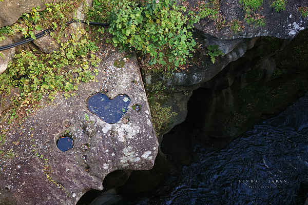 Tourwave 一日遊.png