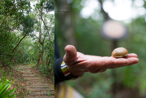 大武 神榕步道.png
