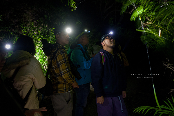 大武 夜訪豬豬山.png