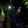 大武 夜訪豬豬山.png