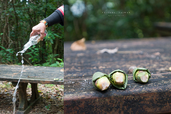 台東大武 千年神榕.png