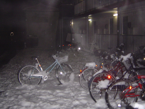 宿舍前的雪景！正在融雪中