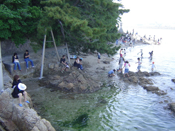 天氣熱大家都在玩水