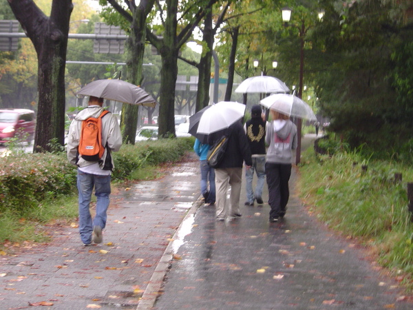 挑在雨天散步的笨蛋們～