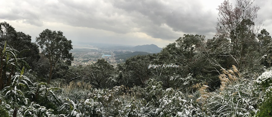 IMG_8830.jpg IMG_8830.jpg