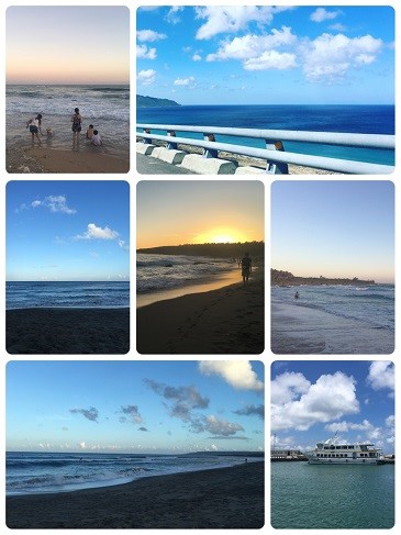 IMG_1188.JPG IMG_1188.JPG