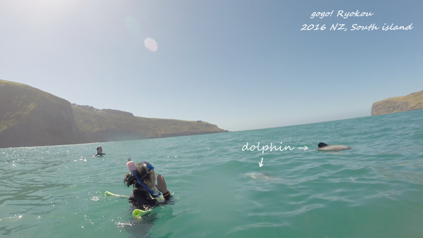 swim2s.png swim2s.png