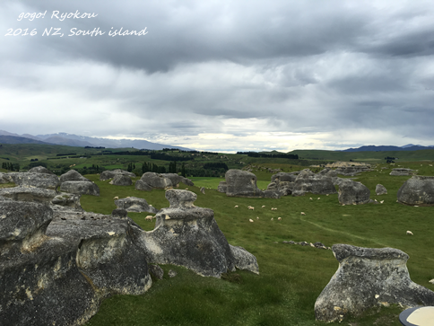 IMG_7397.png IMG_7397.png