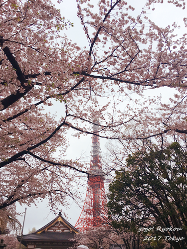 IMG_9213.png IMG_9213.png