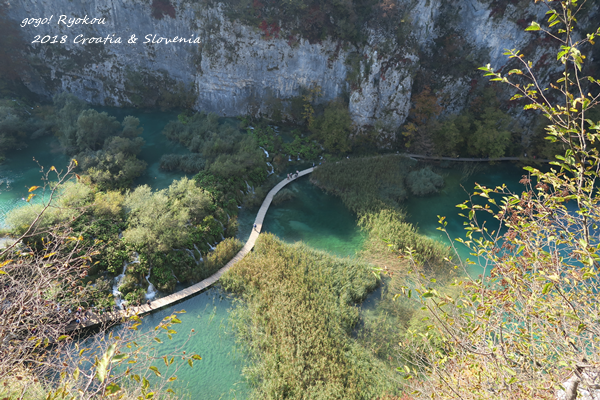 IMG_4900.png IMG_4900.png