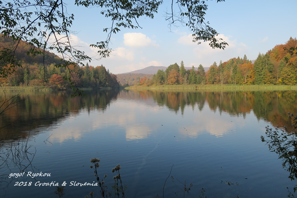 IMG_4605.png IMG_4605.png