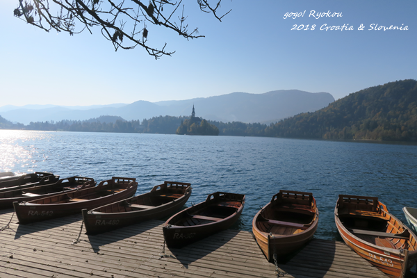 IMG_5253.png IMG_5253.png