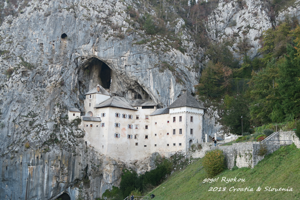 IMG_5194.png IMG_5194.png