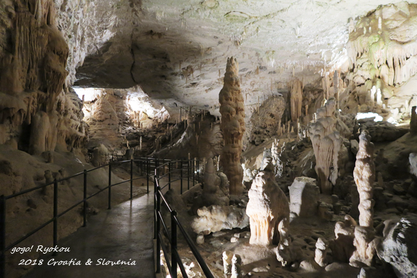 IMG_5071.png IMG_5071.png