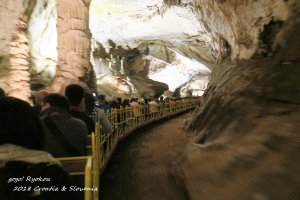 IMG_5115.png IMG_5115.png