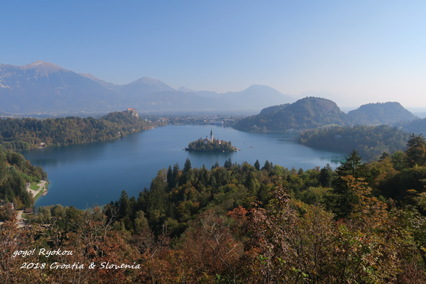 IMG_5275.png IMG_5275.png