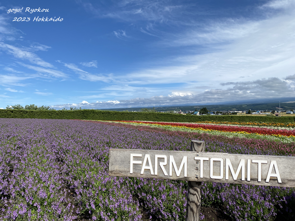 [2023北海道] 帶七個月寶寶挑戰北海道自駕自助 8天行程