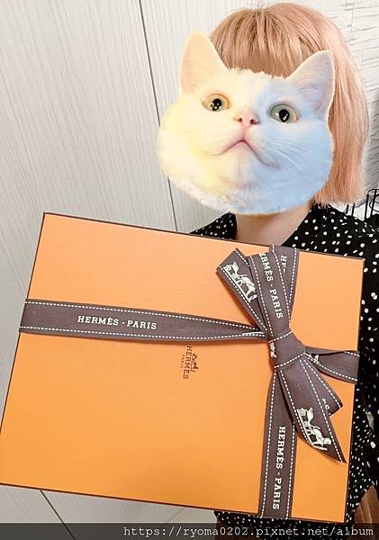 ✨【Hermès Mini Evelyne 16／包中包推薦