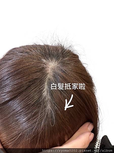 🌪️白髮暴動怎麼辦?「566 AI香波染」讓我一洗變髮!媽媽