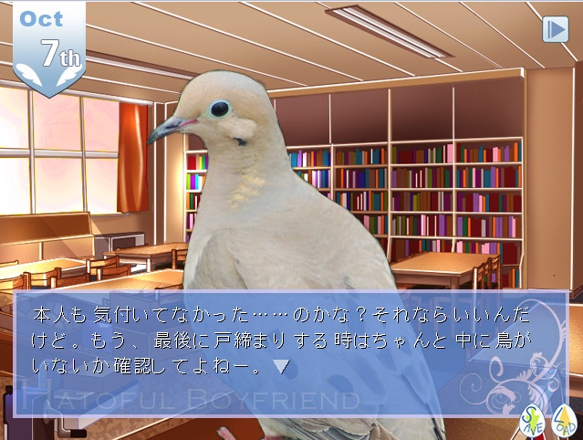 hato30