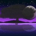 紫夜.jpg