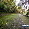 桃園-拉拉山樂野露營區～瀑布景觀第一排！遠離塵囂世外桃花源，山泉瀑布好清涼 (31).jpg