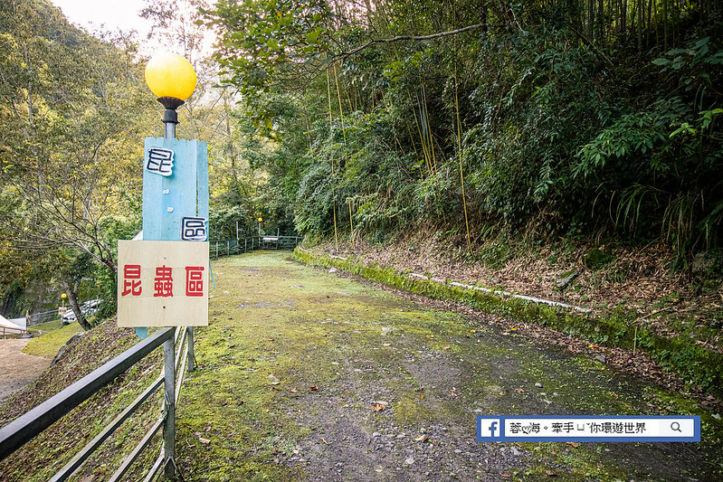 桃園-拉拉山樂野露營區～瀑布景觀第一排！遠離塵囂世外桃花源，山泉瀑布好清涼 (36).jpg