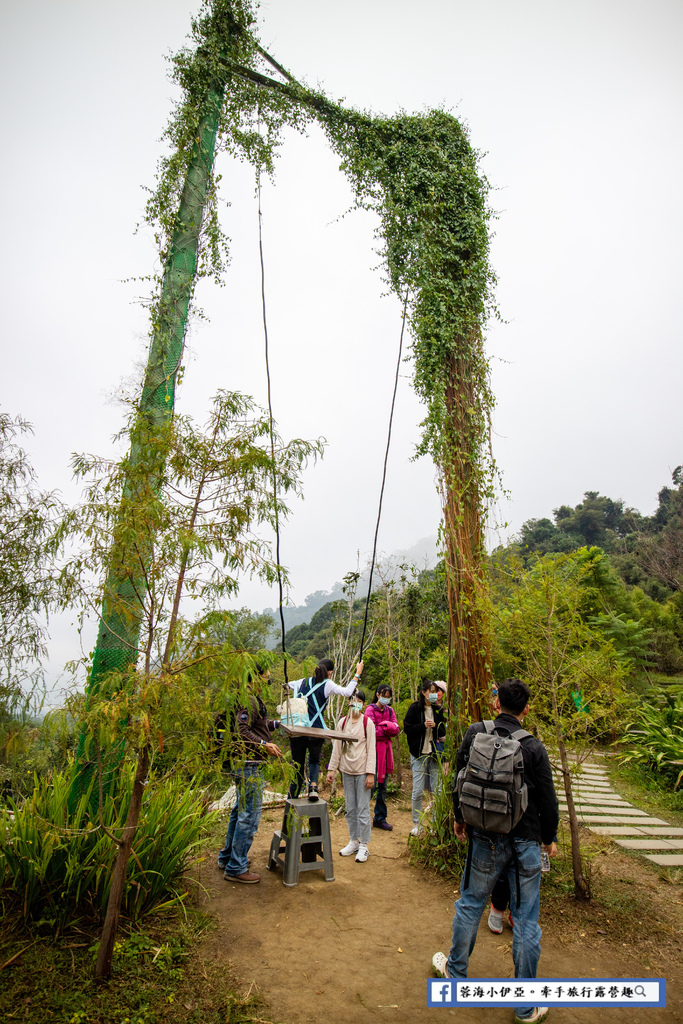 【苗栗景點】哈比丘 茶樹森林～高空鞦韆你敢挑戰嗎？網拍景點、