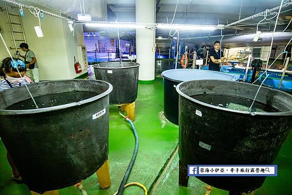 屏東墾丁住宿-夜宿海生館 (48).jpg