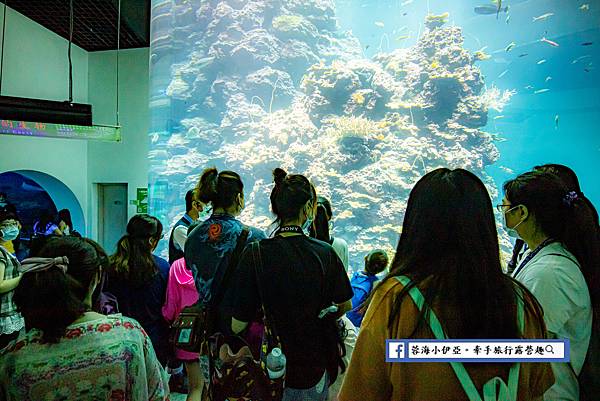 屏東墾丁住宿-夜宿海生館 (78).jpg
