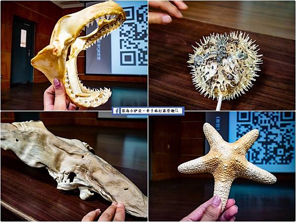 屏東墾丁住宿-夜宿海生館 (82).jpg