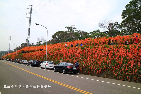 2023苗栗免費景點懶人包 (17).JPG